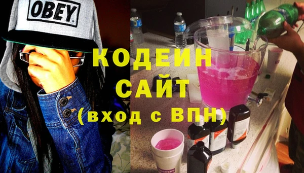 молекула духа Богданович