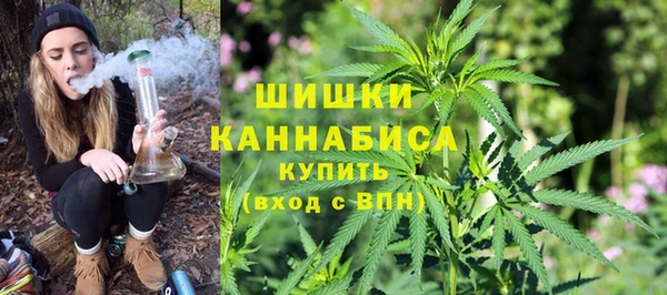 молекула духа Богданович
