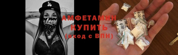 молекула духа Богданович