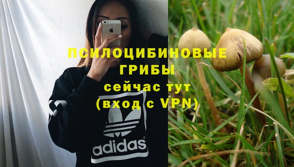 MDMA Premium VHQ Богородск