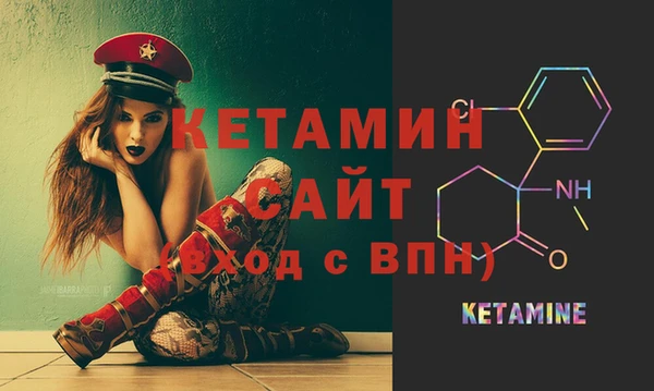 молекула духа Богданович