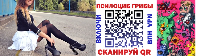 Псилоцибиновые грибы Psilocybine cubensis  Змеиногорск 